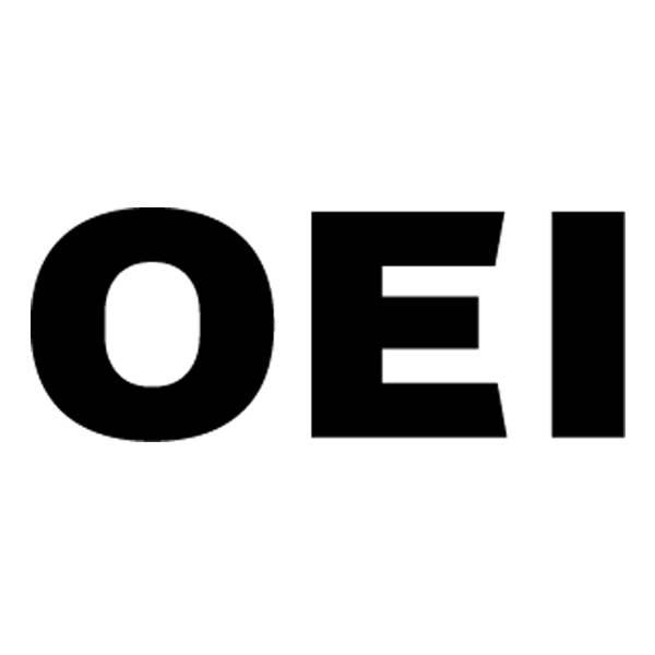 Organizacin de Estados Iberoamericanos (OEI)